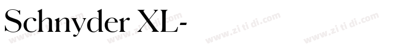 Schnyder XL字体转换